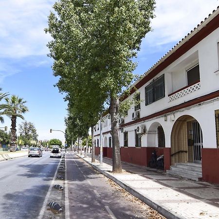 Letmalaga Sweet Familyアパートメント エクステリア 写真